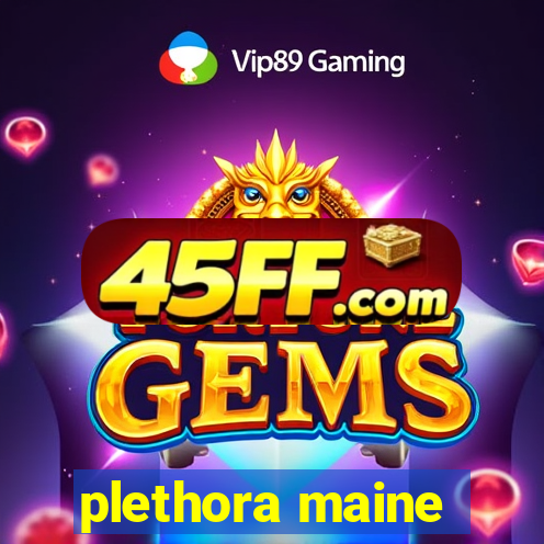 plethora maine